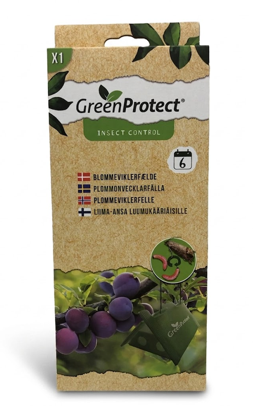 Plommevikler - beskytt plommene dine