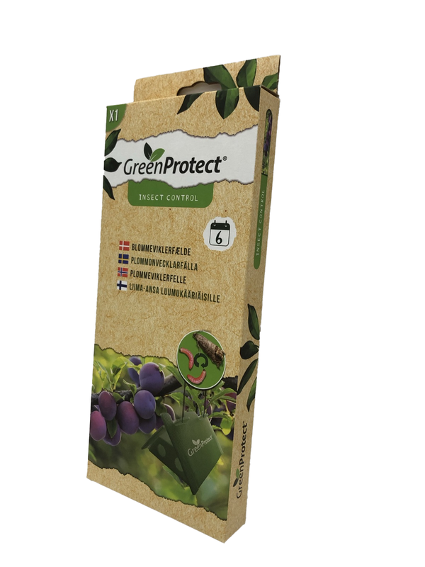 Plommevikler - beskytt plommene dine