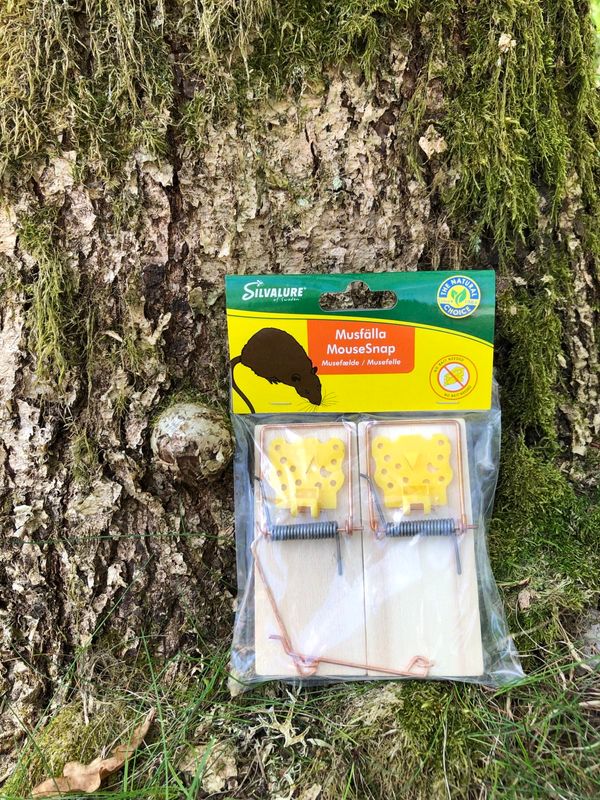 Musfälla med lockbete - Köp idag på Skadedjursbekämpning.nu