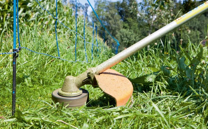 Elstängsel för vildsvin & rådjur - Köp idag hos Skadedjursbekämpning