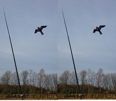 2 st Fågelskrämma: Drake (6 meter)