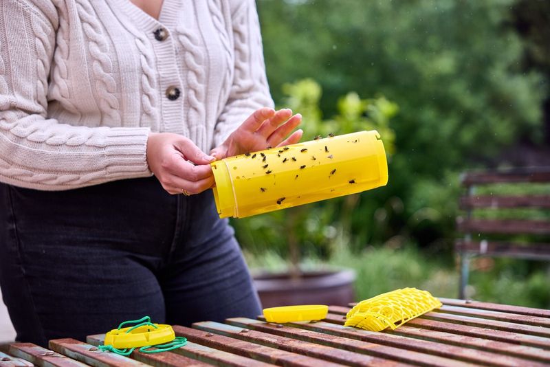 Produktbild för New Gen Flugfällor – tvåpack