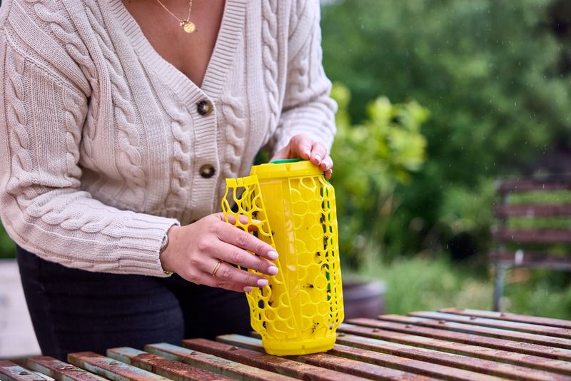 Produktbild för New Gen Flugfällor – tvåpack