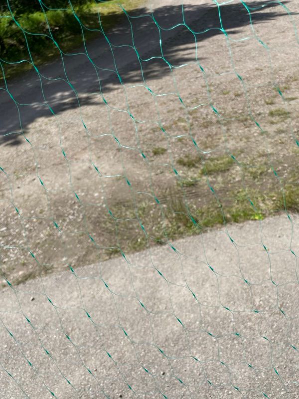 Produktbild för Fågelnät 5 x 10 m