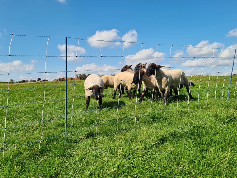 Produktbillede til Ulvehegn med aggregat og jordspyd