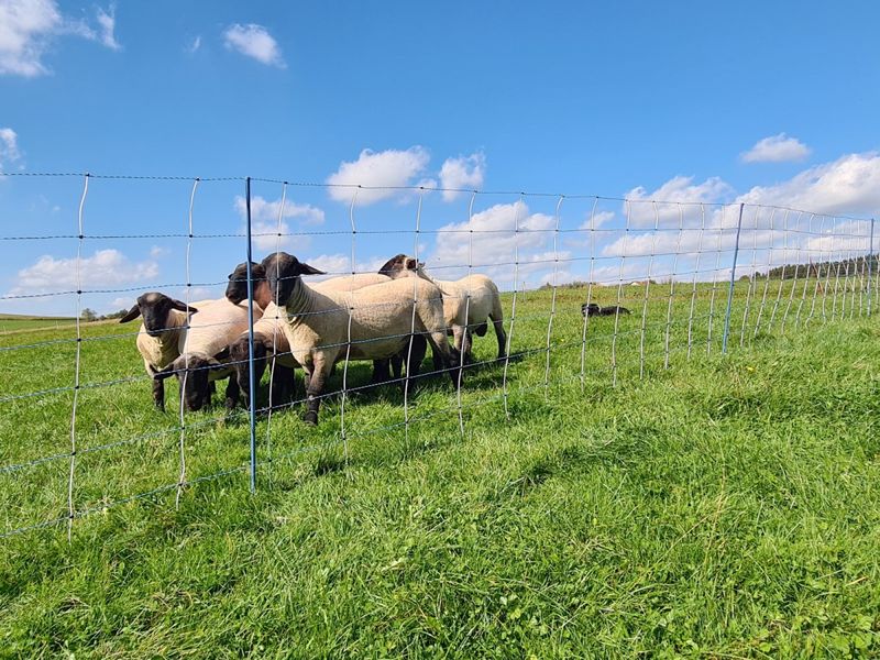 Produktbillede til Ulvehegn med aggregat og jordspyd