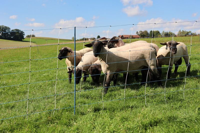 Produktbild f&ouml;r Vargst&auml;ngel plus aggregat och jordspett