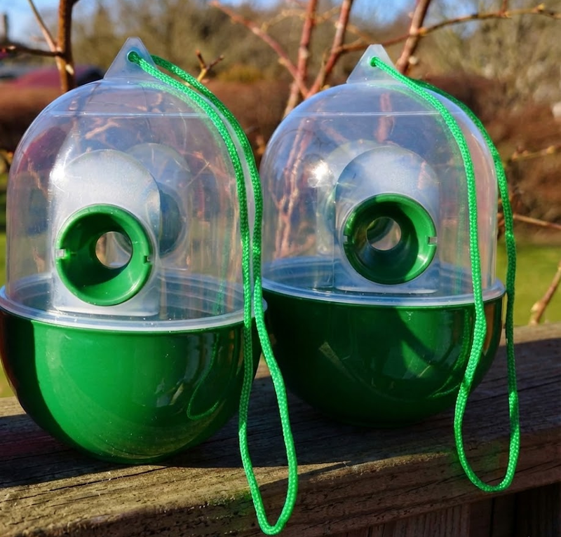 Vepsfanger med lokkemiddel