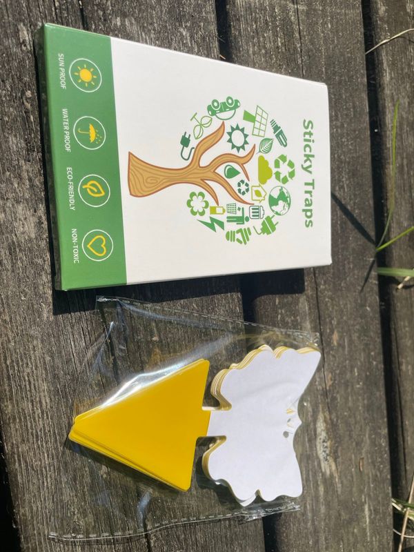 Produktbild för Flugfälla 12 pack