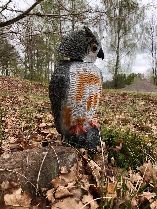 Fågelskrämma: Vindaktiverad Uggla: Skrämmer bort fåglar och andra Skadedjur