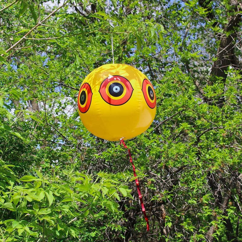 Fågelskrämma:Öga